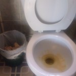 Guatemalan Toilet