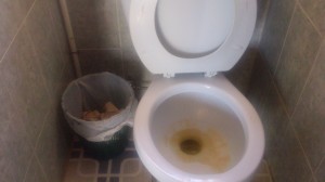 Guatemalan Toilet