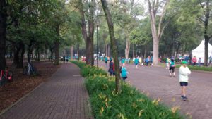 The finish of Julie's 16k race in Chapultepec Park